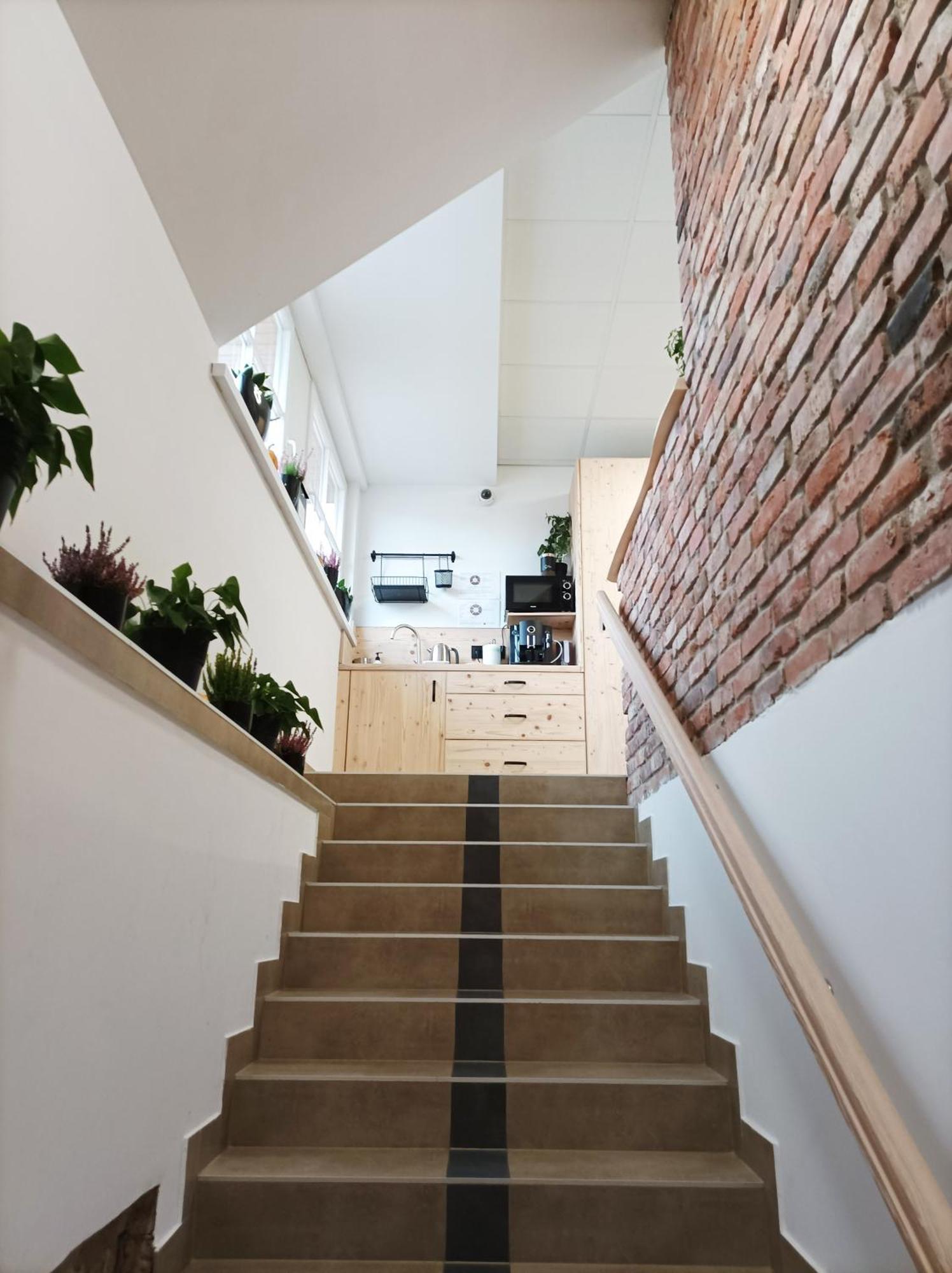 Pokoje Pod Palacem Koszecin Стая снимка