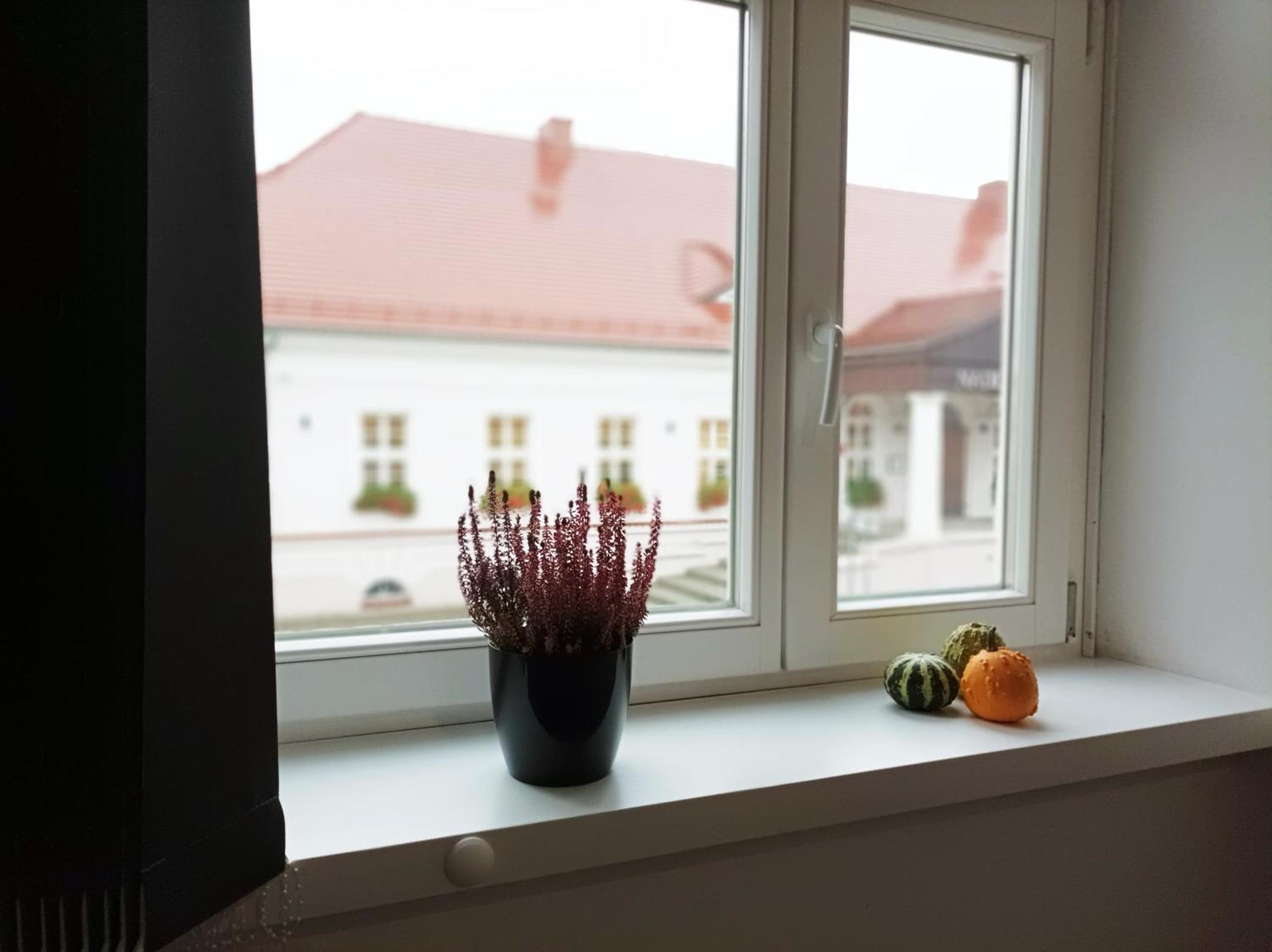 Pokoje Pod Palacem Koszecin Екстериор снимка